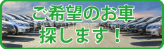 ご希望のお車探します